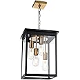 TODOLUZ Outdoor Pendant Light Fixtures, 4-Lights Large Outdoor Ceiling Hanging Lanterns in Black & Brushed Brass, Farmhouse Exterior Chandelier for Front Door Entry Patio