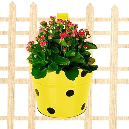 GARBNOIRE 7 Inch Metal Polka Dotted Round Railing Planters | Planter Pot with Hanger | Gamla | Hanging Planter Basket for Home and Balcony - (Single Yellow, 1)