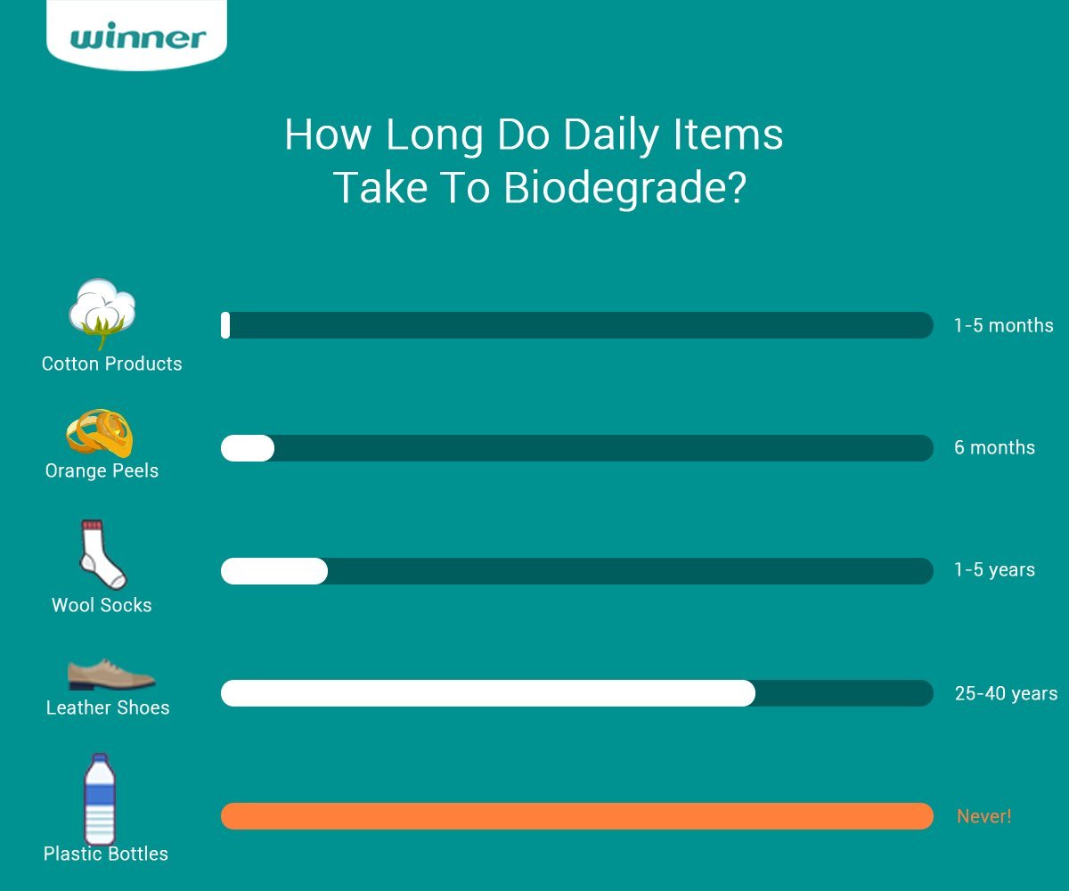 winner soft dry wipe