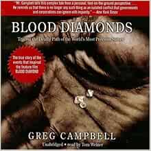 Is blood diamond a true story image
