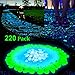 Homder 220pcs Glow in the Dark Garden Pebbles for Walkways & Decor and Plants Luminous Stones in Blue & Green & White