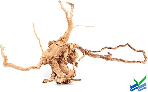 spider wood aquarium