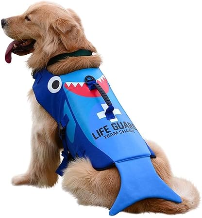 cute dog life jacket