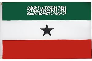 AZ FLAG - Somaliland Flag - 150x90 Cm - 100D Polyester Somaliland Banner with Two Metal Grommets - Fade Resistant - Vivid Col