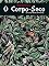 Livro O Corpo-seco: O Coisa-ruim em versos