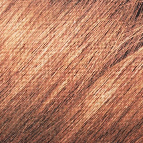 L'Oreal Paris Feria Multi-Faceted Shimmering Color Light 