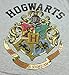 Harry Potter Juniors Hogwarts Crest Heather T-Shirt Grey (Large)