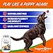 Glucosamine for Dogs - All Natural Glucosamine, Chondroitin, MSM & Tart Cherry Is The Best Joint Supplement To Relieve Hip & Joint Pain - Tasty Chewable Tablets Your Dog Will Love - Made in the USA