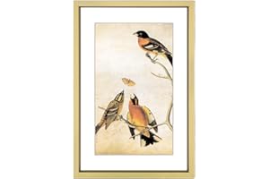 BKABOT 5x7 Picture Frame, Brass Metal Photo Frames with HD Glass, Fits 4x6 with Mat or 5 x 7 without Mat, Display for Wall and Table, 1 Pack