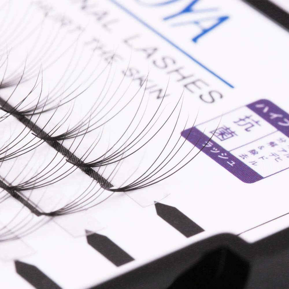 Premade Volume eyelash Extensions 5D Individual Cluster Lashes 0.07mm B Curl Mink Lashes(5D) (12mm)