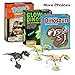 XX Dinosaur Fossil Dig Excavation Kit for Kids 3 Assorted Dino Assemble Model