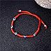 6pcs Evil Eye String Kabbalah Bracelets for Protection and Luck Hand-Woven Red Rope Cord Thread Friendship Bracelet Anklet (HS028-5)