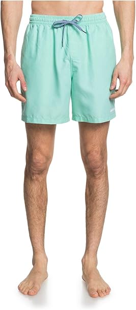 quiksilver swim shorts