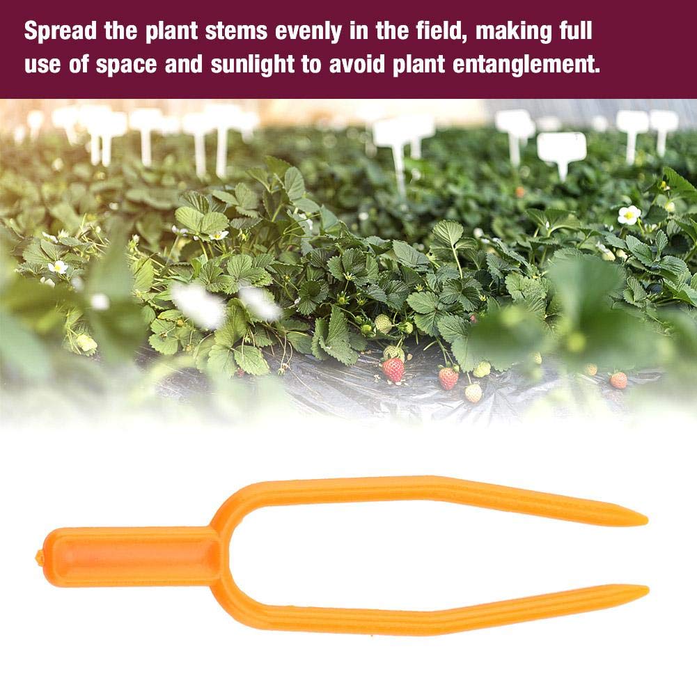 Plant Clip 100PCS Fresa Plantación Tenedor Presión Vid Horquilla ...
