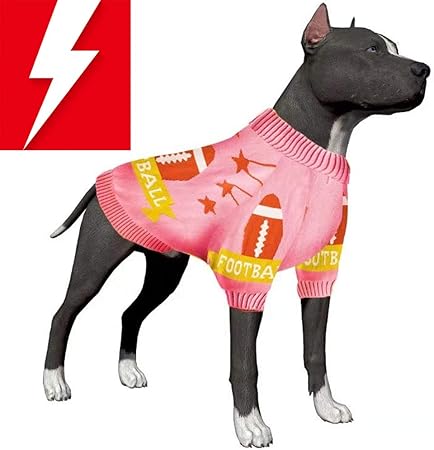 doberman jacket