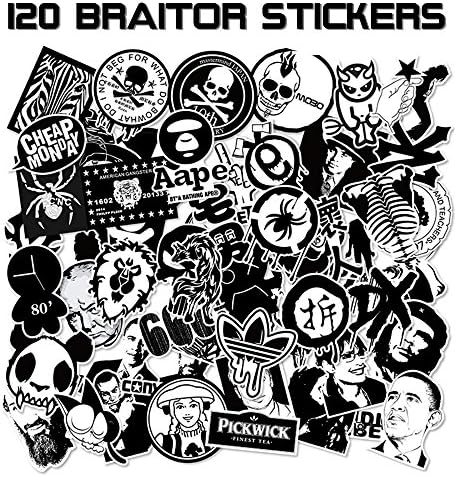 BRAiTOR Laptop Stickers [120-pcs] Waterproof Vinyl Graffiti Decals Logo Stickers for Luggage, Kids, Motorcycle, Bicycle, Skateboard, Car with 120 Fishion Design