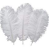 Sowder Natural Ostrich Feathers - 10-Pack, 16-18 Inch Red Plumes For Wedding Decor & Centerpieces