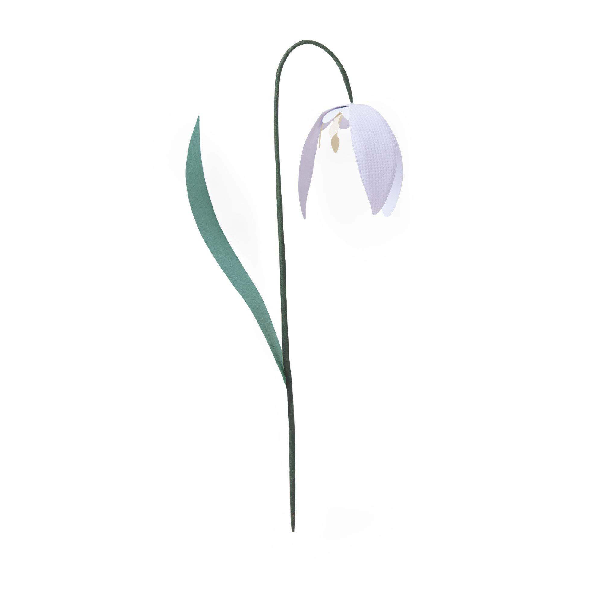 Sizzix Bigz Die 664501 Snowdrop by Jennifer Ogborn