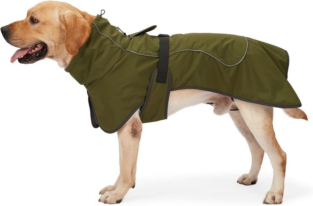 HEYWEAN Dog Jacket Waterproof Reflective Fleece Lined Cold Weather Coat