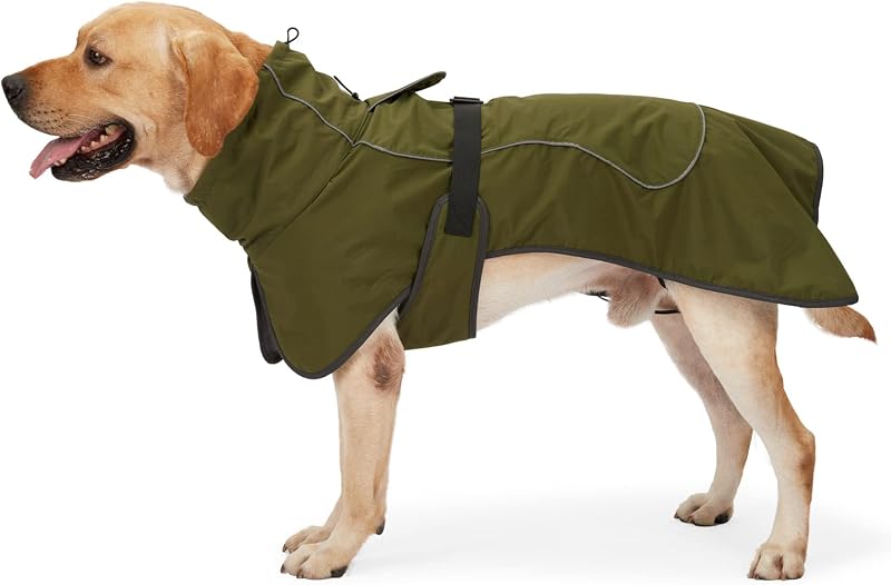 HEYWEAN Dog Jacket Waterproof Reflective Fleece Lined Cold Weather Coat
