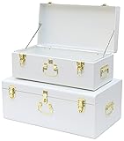 Vixdonos Decorative Metal Box Storage Trunks Set of