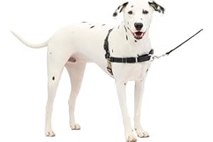 PetSafe Easy Walk Harness, No Pull Harness for Dogs, Adjustable Harness with Included Matching Lead, Black Medium Large
