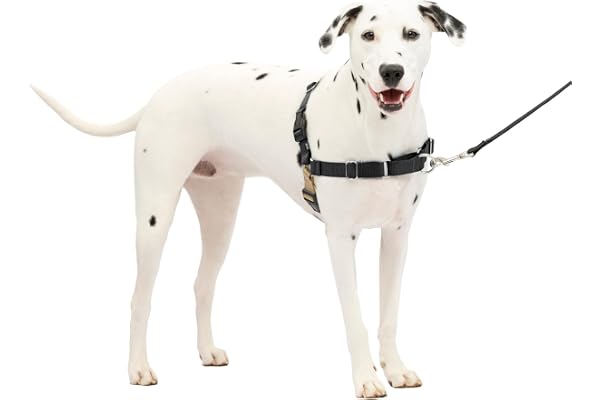 PetSafe Easy Walk Harness, No Pull Harness for Dogs, Adjustable Harness with Included Matching Lead, Black Medium Large