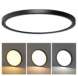 CycevSun 15.8 Inch Black Flush Mount Ceiling