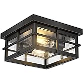 Asnxcju Modern Outdoor Ceiling Light Fixtures, 2-Light Black Flush Mount Light Fixtures with Clear Glass Shade, Farmhouse Squ