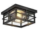Asnxcju Modern Outdoor Ceiling Light