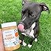 Pumpkin Pup Buddy BUDDER, 100% Natural Dog Peanut Butter, Healthy Peanut Butter Dog Treats, Made in USA, (17oz Jars)