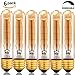 60W Edison Bulb,SerBion Incandescent Vintage Antique Light Bulb, T10 Tubular Filament Dimmable Bulb,E26/E27-110v- 370 Lumens,6-pack