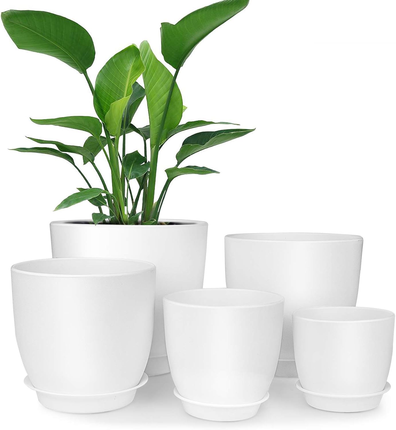 Plastic Planter, HOMENOTE 7/6/5.5/4.5/3.5 Inch Flower Pot Indoor Modern Decorative Plastic Pots for Plants with Drainage Hole and Tray for All House Plants, Succulents, Flowers, and Cactus, White: Kitchen & Dining