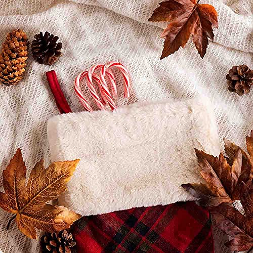 Spangler Classic Red and White Peppermint Candy Canes Natural