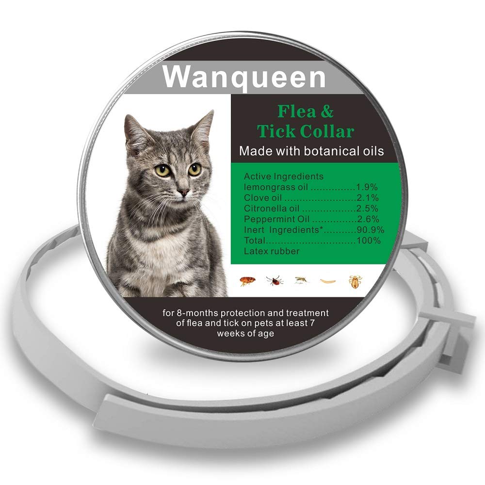 Can you use cat flea collar on dog Clearance