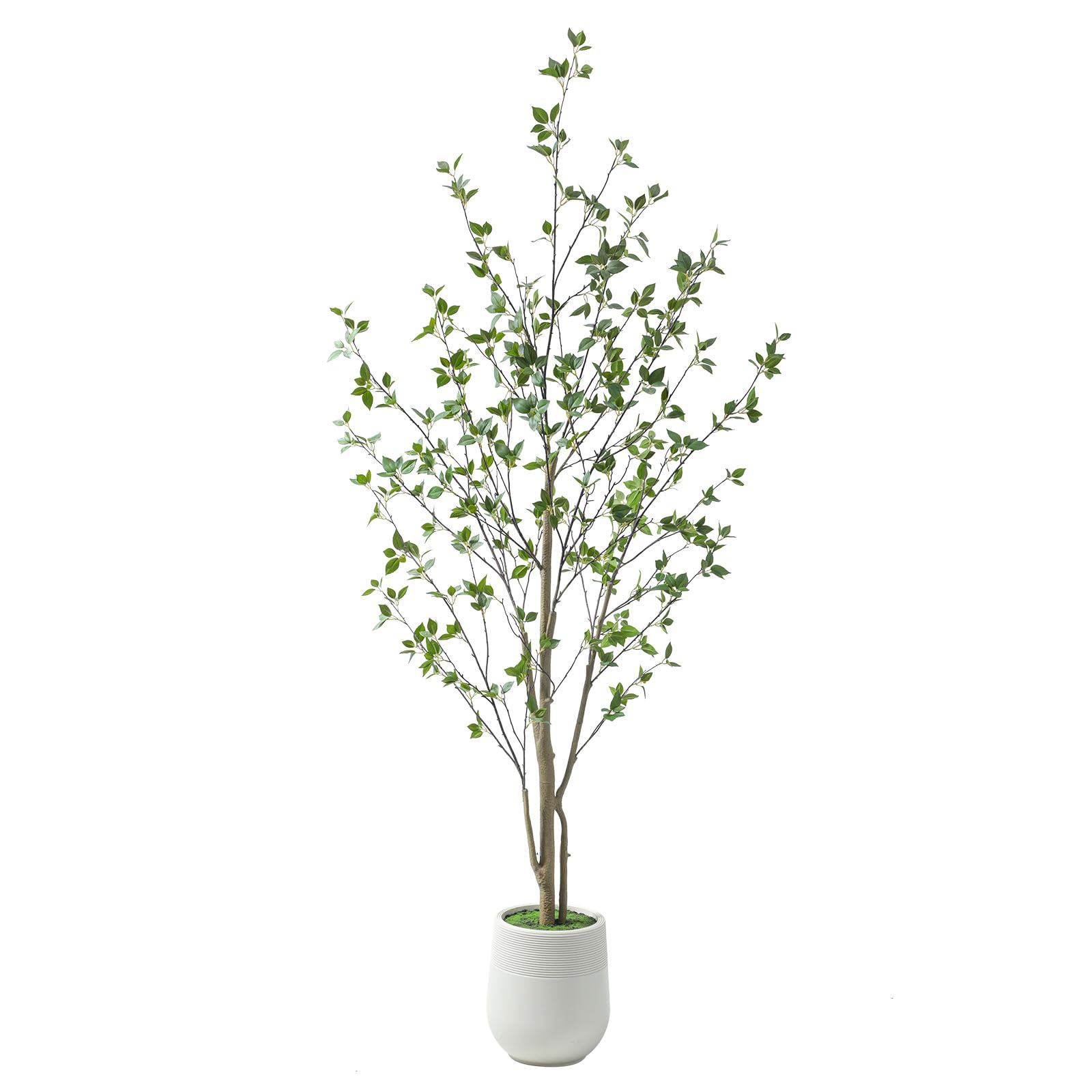 Bellacat 7ft Minimalist Artificial Citrus Tree with