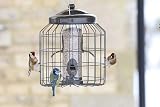 Gardman Heavy Duty Squirrel Proof Bird Seed Feeder Multicolour 31 cm view 2