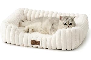 COZY KISS Orthopedic Dog Bed for Small Dogs & Cats - Washable Rectangle Pet Bed with Anti-Slip Bottom, Soft Calming Cat & Puppy Bed for Indoor Pets (25"x21"x6", Cream)