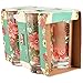 Pioneer Woman 16 oz Rose Shadow Glass Cooler Set Drinking Cups Tumbler Floral