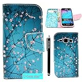 Galaxy J1 Case, Galaxy J1 Wallet Case, U-Gem star Galaxy J1 PU Leather Wallet Stand Magnetic Cover Case for Samsung Galaxy J1,with SIM Card Adapter Kit+Screen Protector+Black Stylus (Cherry Blossom)