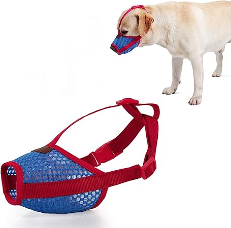 chihuahua muzzle amazon