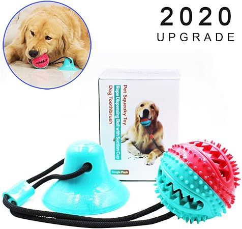 suction cup tug of war for dogs