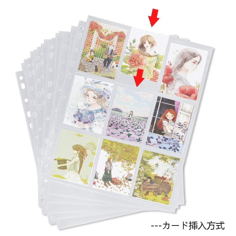 Card Case File Mua Trading Card File Case, 30 Sheets, Compatible with 2 Holes / 3 ...