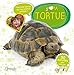 J'aime ma tortue by