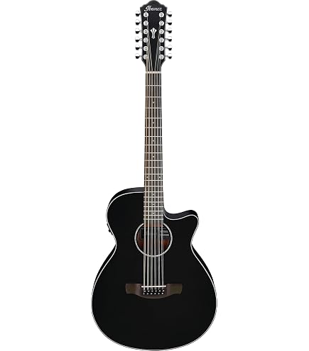 Amazon.com: Ovation 2058TX-5 Elite TX 12-String Acoustic - Black