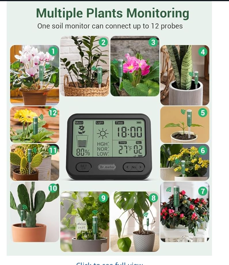 View 3