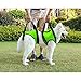Lifeunion Dog Foreleg and Hind Rear Legs Sling Dog Lift Support Rehabilitation Harness for Elderly, Injured, Disable Pets, Help Stand Up, Up/Down Stairs, Get into Car (XL, Green)