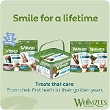 WHIMZEES Stix S 24 Pieces Dog Dental Sticks Small Breed Natural Grain Free view 7