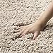 SAFAVIEH California Premium Shag Collection 4' Round Beige SG151 Non-Shedding Living Room Bedroom Dining Room Entryway Plush 2-inch Thick Area Rug