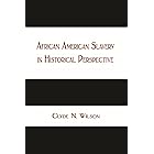 African American Slavery in Historical Perspective
